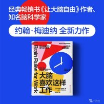解读《大脑喜欢这样工作》顺从大脑习性，提升工作效率 【美】约翰·梅迪纳 2024