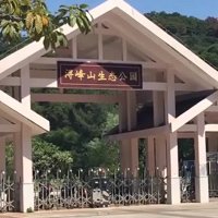 白云金沙圈